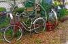 Fine Art • Riningers Bike Entrance by Greg Dampier All Rights Reserved.