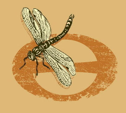 eco-dragonfly by Greg Dampier - Illustrator & Graphic Artist of Portland, Oregon