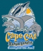 T Shirts • Youth Designs • Cape Cod Dolphin And Whale Wathers Tee by Greg Dampier All Rights Reserved.