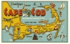 Illustration • Full Color • Cape Codpost Card by Greg Dampier All Rights Reserved.